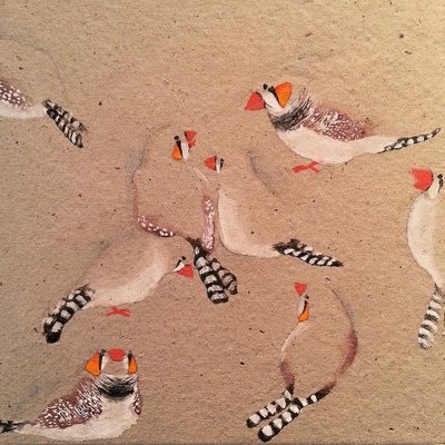 kinounogohanha's profile picture. 決済系非IT事務職員。 TRANSPOSE(FILTER($C$2:$C$10,($E$2:$E$10=K2)*($F$2:$F$10=L2)))