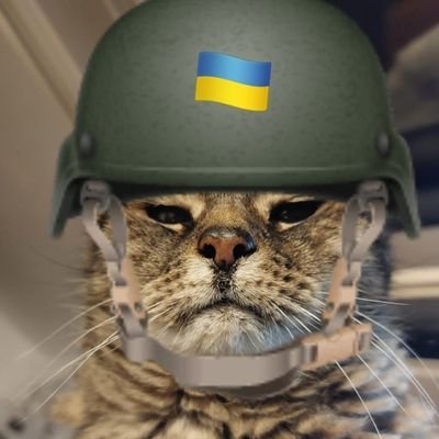 LuckyAstroCat Profile Picture