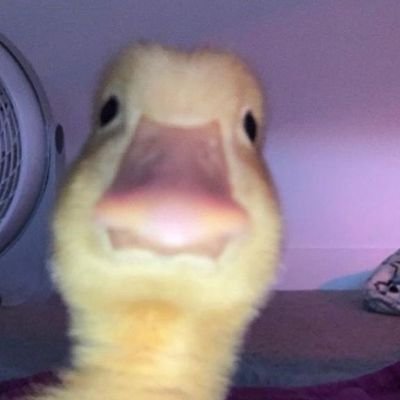 flawlesselena22's profile picture. 