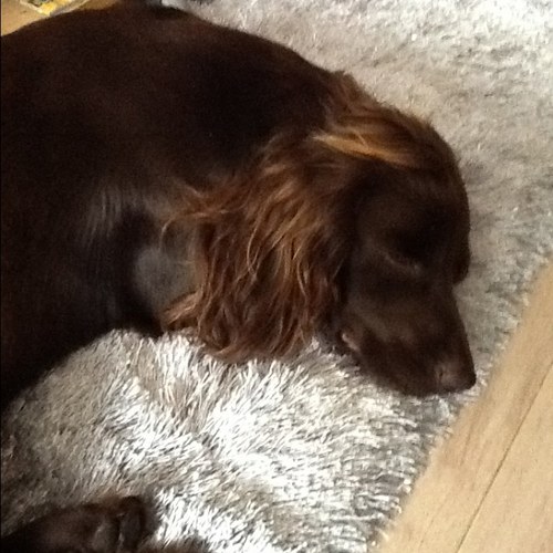 annwoods2's profile picture. 