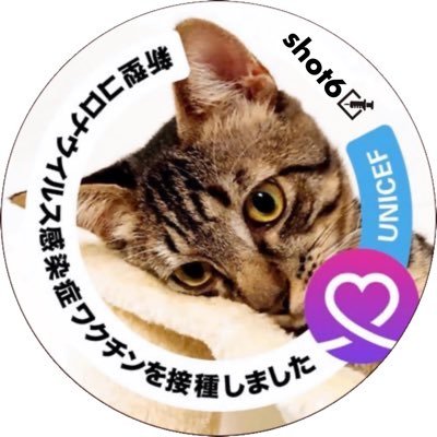 た*け様 [週末限定] MACKINTOSHPHILOSOPHY ロービングツイ MACKINTOSH for ÉDIFICE HUMBIE HUNTING SL- 英国由来の