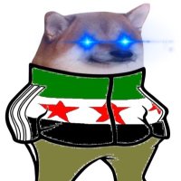 Free Syrian Fella (@freesyrianfella) 's Twitter Profile