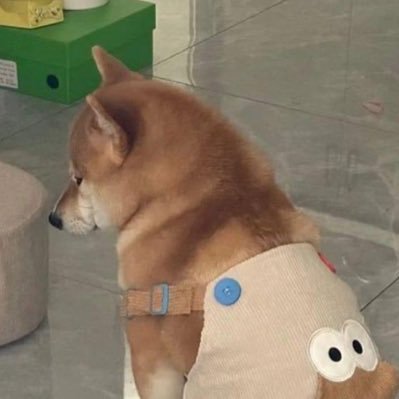 ㄷㅈㅁ i ˚ₓさんのプロフィール画像