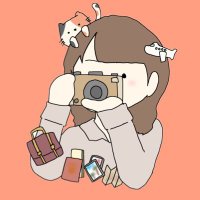 ねここ🐈猫と旅🇹🇼(@nekoko2711) 's Twitter Profile Photo