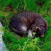 Sluggo (@sluggo30470498) Twitter profile photo
