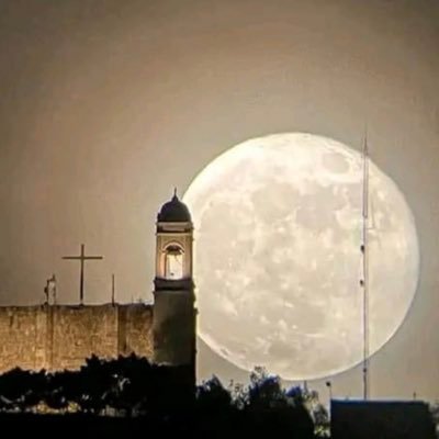 AZYXZA's profile picture. Defensa