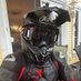 Etthan Hunt ๐บ๐ธ ๐จ๐ฆ (@huntetthan) Twitter profile photo Etthan Hunt ๐บ๐ธ ๐จ๐ฆ (@huntetthan) Twitter profile photo