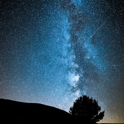 CageFreeMind's profile picture. 