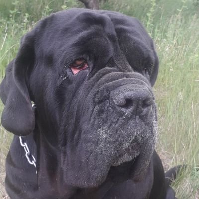 Душа Богу
Сердце женщине
Долг отечеству
Честь никому