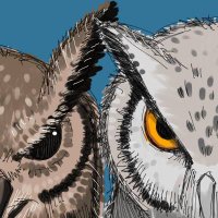 6/8ギン・発・前後＋(横) (@otus_scops508) Twitter profile photo