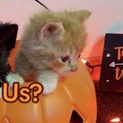 nimz_ay28's profile picture. 