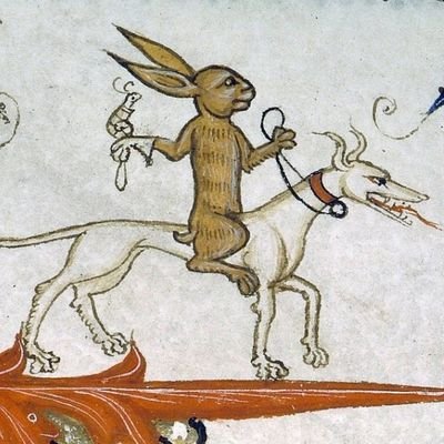 zunig_carolina's profile picture. 