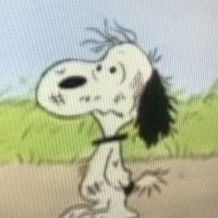 Brooklyn 🫶 (@doyoufart3) 's Twitter Profile