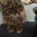 Helen Marie Jones (@helenmariejone6) Twitter profile photo Helen Marie Jones (@helenmariejone6) Twitter profile photo