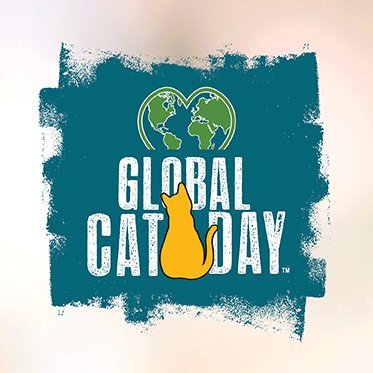 Global Cat Day is October 16. All cats deserve the chance to live. Become a cat advocate this Global Cat Day!