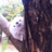 myaa0617's profile image