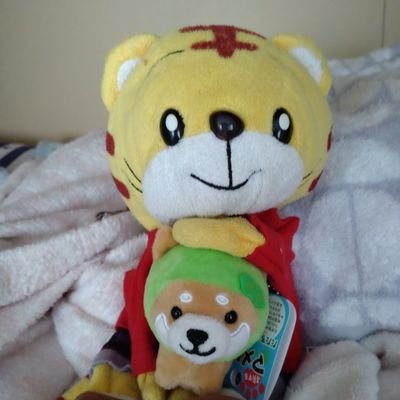 POcdQmiDDdDFUdA's profile picture. 