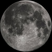 The Moon (@akingoffools) 's Twitter Profile Photo
