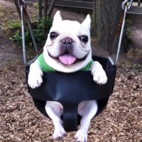 Mister Buttcheeks (@longbuttcheeks) 's Twitter Profile Photo Mister Buttcheeks (@longbuttcheeks) 's Twitter Profile Photo