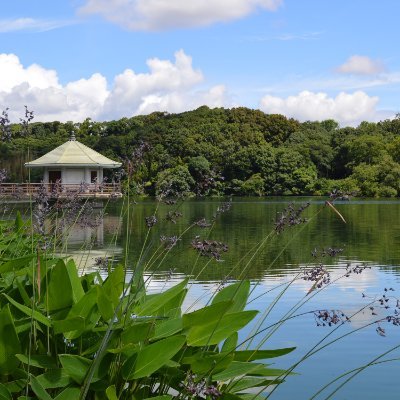 山田池公園の公式Xアカウントです。
約1200年前に築造された山田池を中心に、豊かな自然に触れられる公園。『日本の歴史公園100選』にも選出され、園内にはさまざまな草花が咲き誇り、四季折々の風景が楽しめます。
運用ポリシー：https://t.co/1s4oEArfUd…