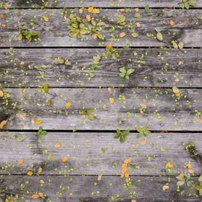 AknurScurl97585's profile picture. 