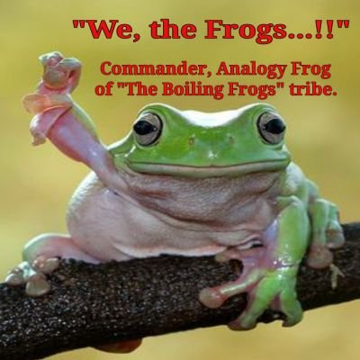 Am Supreme Commander, Analogy Frog. Creator of The Boiling Frogs ™ Welcome to my tribe, my band. Here to watch, read, and learn stuff. A True Critical Thinker.
