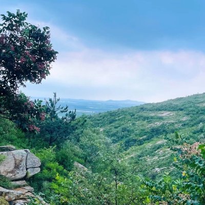 zhanghao855052's profile picture. Fund Manager

Thick snow long slope, margin of safety