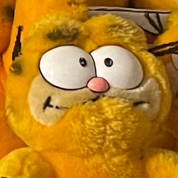 moshoswirls's profile picture. 🇲🇽 ☹︎ 20 ☻ multifandom ඩා garfield enthusiast