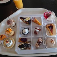 ハウステンボスふぁん？のサバトラ (@jq0tpxchdc9y8qx) 's Twitter Profile