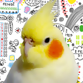 freelance designer
Softball⚾️・Trail Running⛰・Golf⛳️・Motorcycle🏍・Birds🐥・BayStars(*^◯^*) 🇯🇵