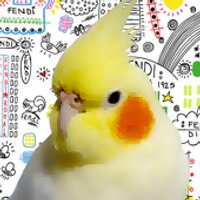 オオハナ イン子𓅂 (@kimomix) 's Twitter Profile