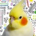 オオハナ イン子𓅂 (@kimomix) Twitter profile photo