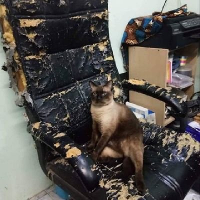 Djarotjr___'s profile picture. 