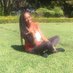 Masesi (@_masesi) Twitter profile photo Masesi (@_masesi) Twitter profile photo