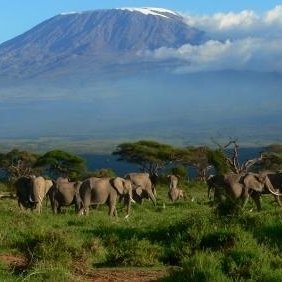 #Kilimanjaro guide, Safaris planner organizes Kilimanjaro trekking, and affordable #safarioffers, #hotel #hoteldeals #daytrips inquire now to climb Kilimanjaro.