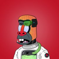 Hedera Viking (@hederaviking) 's Twitter Profile Photo Hedera Viking (@hederaviking) 's Twitter Profile Photo