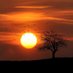 ابن خردادبه (@a62776) Twitter profile photo ابن خردادبه (@a62776) Twitter profile photo