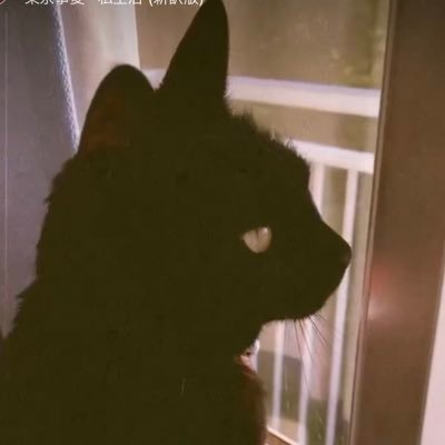 ねも。さんのプロフィール画像