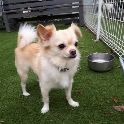 BOXy1UX1UX43745's profile picture. ほぼバスケの為にXやってます！ 推し→河村君、富永君。