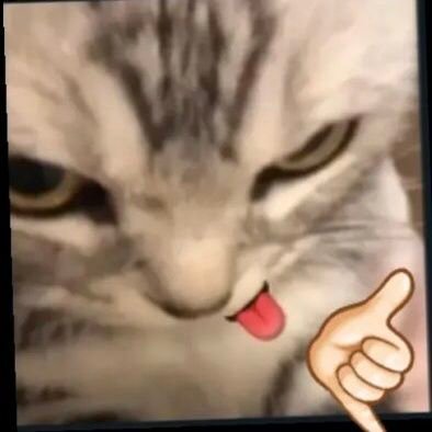 1imtheproblem's profile picture. 