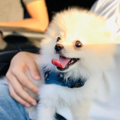 ZBVs0ZxEKWxYVfH's profile picture. ボール初心者。ダトニオ狂。26♂