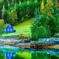 Beauty of Nature (@ishtiaq36611678) 's Twitter Profile