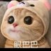 bigdog (@bigdog175973571) Twitter profile photo bigdog (@bigdog175973571) Twitter profile photo