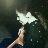 kaffeepot1's profile image