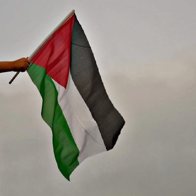 قنديل
20
Braça ❤️💙
Palestine 🇵🇸