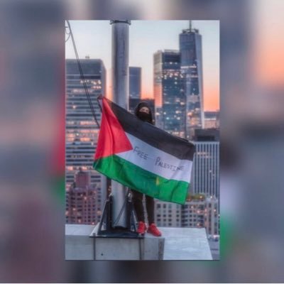 FREE PALESTINE 🇵🇸