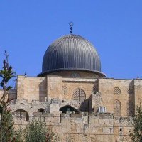 أماااااااااني🇵🇸 (@amanisa35285765) Twitter profile photo
