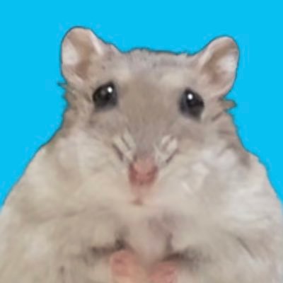 @cheche_cheese