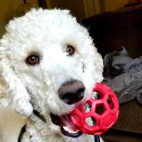Smitty (@msmith45085) 's Twitter Profile