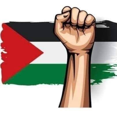 Zobiiiehsan17's profile picture. 💔